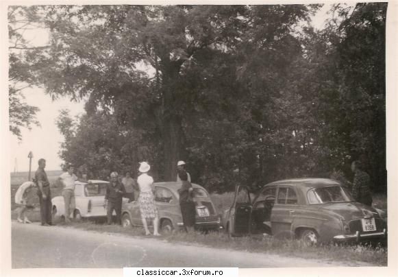 Amintiri... - acelasi dauphine la picnic impreuna cu Fiat 600 - File de istorie