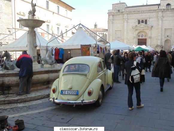 Anticariat Ascoli Piceno -- Italia - O broasca scoasa din "fabrica" - Din lumea larga