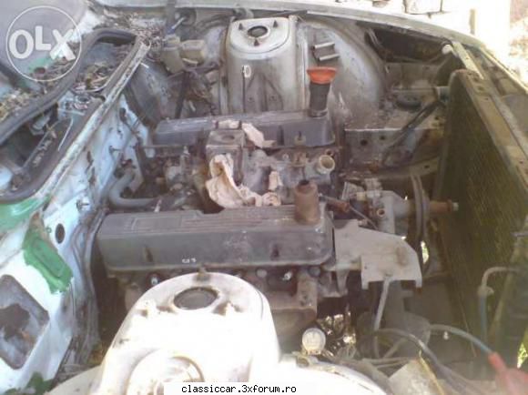 Anunturi din Ungaria - Misu de Cluj - Anunturi vazute pe net