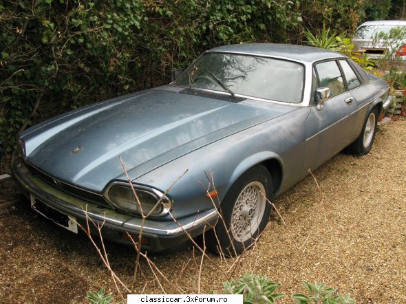 Anunturi internationale de pe net - Jaguar 350 euroi - Anunturi vazute pe net