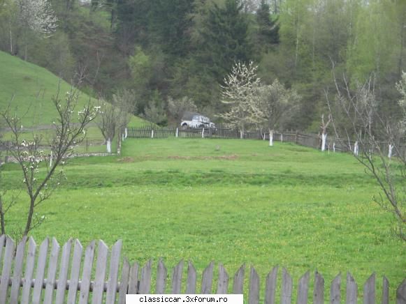 Aproape de Campulung - surubache - Am vazut prin Romania