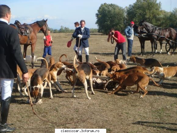 Aro in misiune la vinatoarea cu copoi din SM - La o vinatoare cu copoi organizat la - Arhiva evenimente 2010