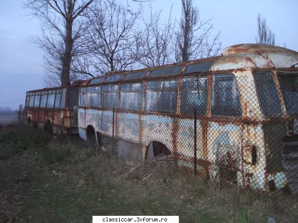 Autobuze TV, langa Craiova si langa Nasaud - CARPATI - Vanatoarea de epave