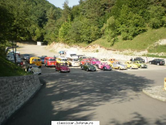 Baia Mare 26-28 august 2011. - Prinzinger - Arhiva evenimente 2011