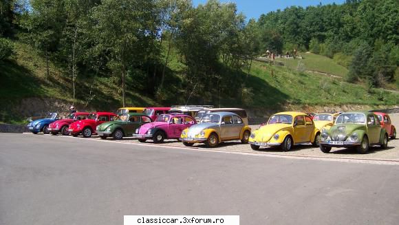 Baia Mare 26-28 august 2011. - Prinzinger - Arhiva evenimente 2011