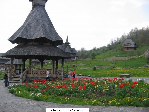 Baimareni broscari. - Un interior spatios cu multe verdeata - Arhiva evenimente 2011