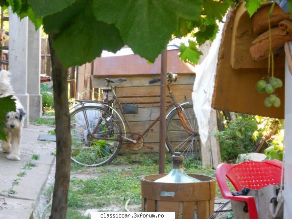 Biciclete vechi - POZA SPION. Oare ce-o fi ???? - Prezentare motociclete, motorete si biciclete de colectie