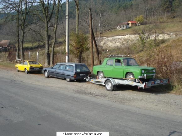 Bostanul Verde haloween de Cluj - Si sosit la Cj, achizitionat bostan, dup� un - Arhiva evenimente 2010