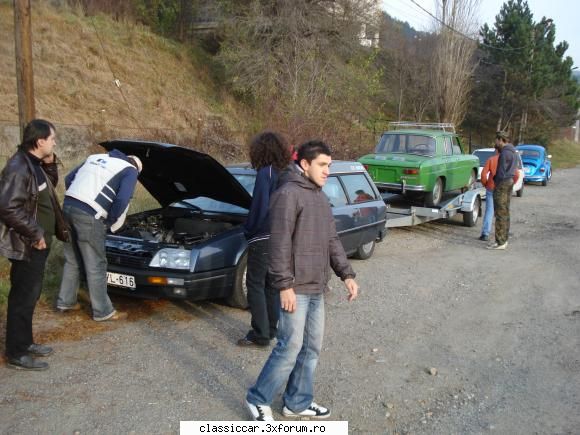 Bostanul Verde haloween de Cluj - Si ...schimbul de experient� cu colegii - Arhiva evenimente 2010