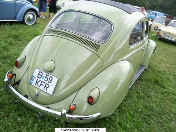 Bran Beetle Meeting Julie 2010 - in continuare..broscute beauty! - Arhiva evenimente 2010