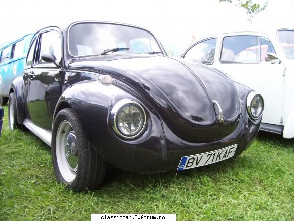 Bran Beetle Meeting Julie 2010 - o negresa sexy! - Arhiva evenimente 2010
