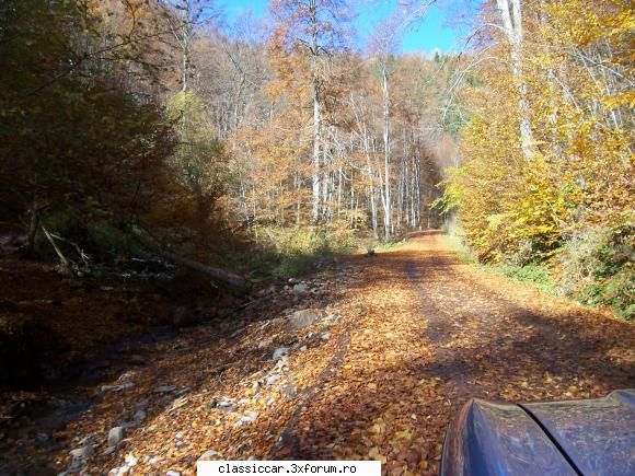 Brasov Clasic Rally 2010 - prin padure..catre Sf Gheorghe - Arhiva evenimente 2010