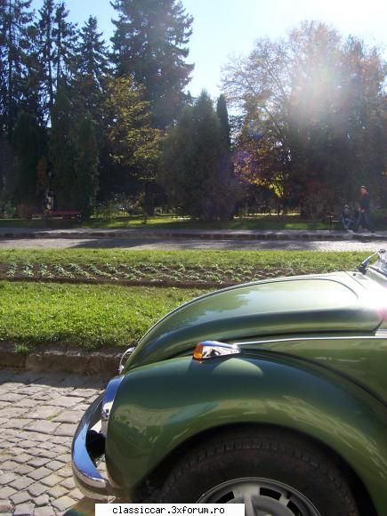 Brasov Clasic Rally 2010 - beauty green beetle - Arhiva evenimente 2010