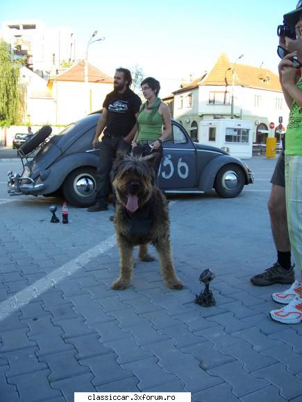 Brasov Classic Rally 2011 - ARTISTII in poza - Arhiva evenimente 2011