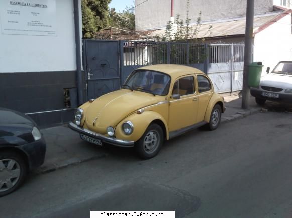 Broasca galbena - nu stiu ce se intampla in ultima vreme dar cred - Am vazut prin Cluj-Napoca