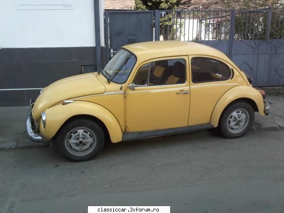 Broasca galbena - pe strada Ilie Macelaru! - Am vazut prin Cluj-Napoca