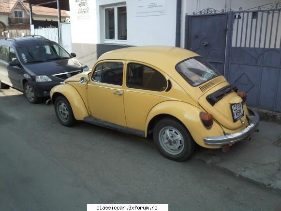 Broasca galbena - Frank - Am vazut prin Cluj-Napoca