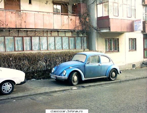 Broscuta 1300 - hibrid - O broscuta vazuta de mine anul trecut. Putin este - Am vazut prin Cluj-Napoca