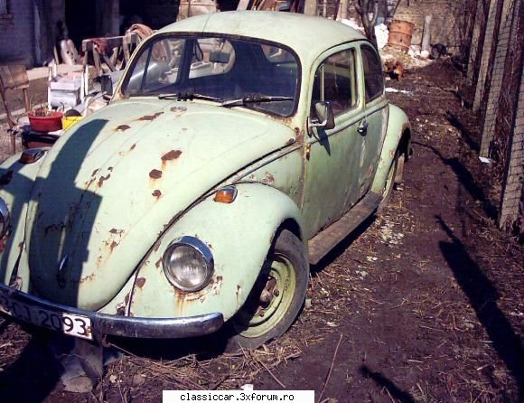Broscuta 1300 - hibrid - Pai, verde acum 2-3 ani a fost asta din poza, dar - Am vazut prin Cluj-Napoca