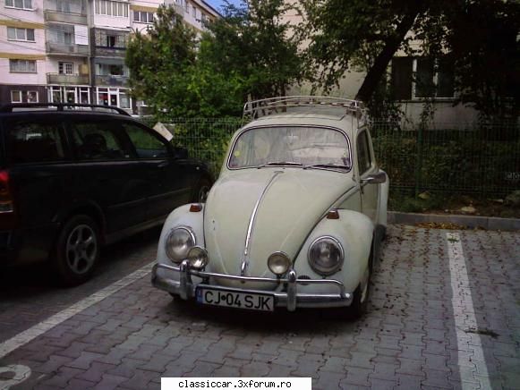 Broscuta gri - vwtyp3variant - Am vazut prin Cluj-Napoca
