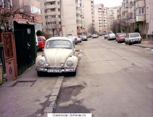 Broscuta gri - Intr-o vreme era pe str Yugoslaviei - Am vazut prin Cluj-Napoca