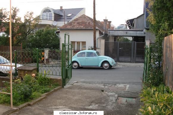 Broscuta vernil - VW Kafer 1965 - Laci - Prezentare masini