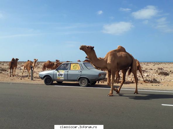 Budapest Bamako 2018 - Camel Trophy? Ambele echipaje se tin bine! Dacia - Arhiva evenimente 2018