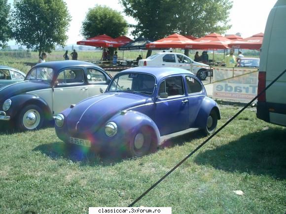 BugFest Tg-Mures - plus_decor - Arhiva evenimente 2011