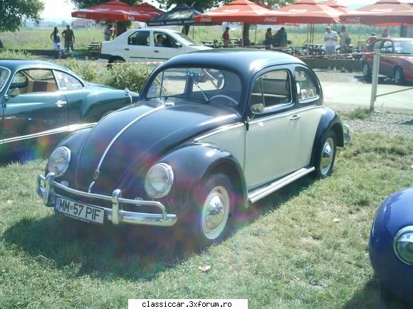 BugFest Tg-Mures - plus_decor - Arhiva evenimente 2011