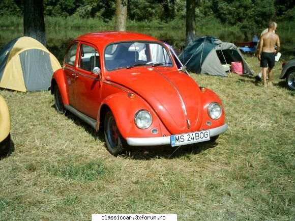 BugFest Tg-Mures - plus_decor - Arhiva evenimente 2011