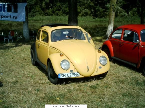 BugFest Tg-Mures - Sibiu,dar am inteles ca proprietara locuieste in - Arhiva evenimente 2011