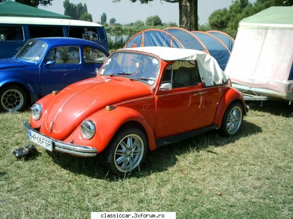 BugFest Tg-Mures - plus_decor - Arhiva evenimente 2011