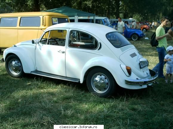BugFest Tg-Mures - plus_decor - Arhiva evenimente 2011