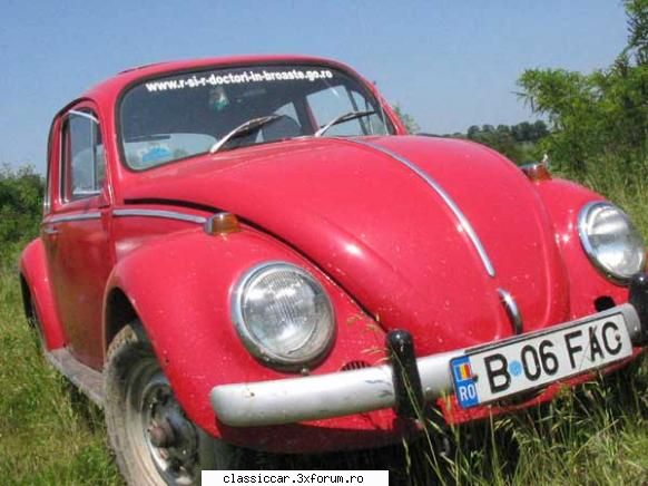 BumBum - VW - 2004, dupa un mic off-road - Prezentare masini