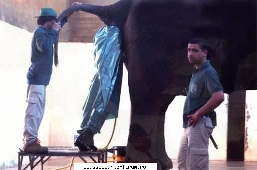 Bursa locurilor dse munca - 6.Cu studii superioare la Gradina Zoo din SUA - Discutii libere