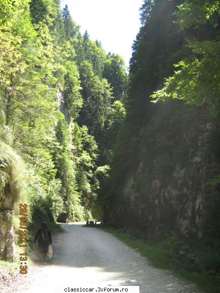 Cheile Dambovicioarei - cheile au parca 8 km pana unde se largeste valea - Drumetii prin Mioritic