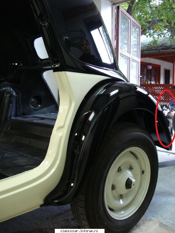 Citroen Traction Avant 15 six -1953 - P�nă și cățelul - Reconditionari si Restaurari