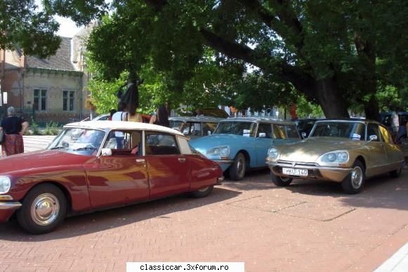 Citroen nemzetk�zi tal�lkoz� 2010 - cv2adi - Hungarian corner