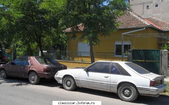 Clasice din Timisoara - ale aceluiasi proprietar (cel cu casa galbena din - Am vazut prin Romania
