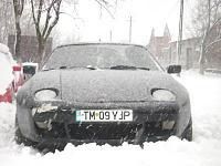 Clasice din Timisoara - AMR - Am vazut prin Romania