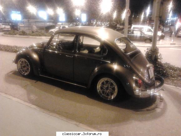 Clasice din Timisoara - Un prieten de-al meu a dat de aceasta broscuta in - Am vazut prin Romania