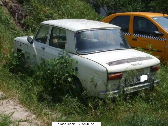Clasice din Timisoara - o sutica vai si amar de ea - Am vazut prin Romania