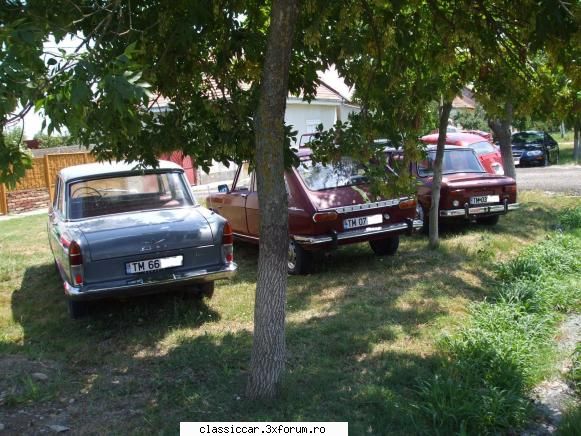 Clasice din Timisoara - o poza si din spate - Am vazut prin Romania