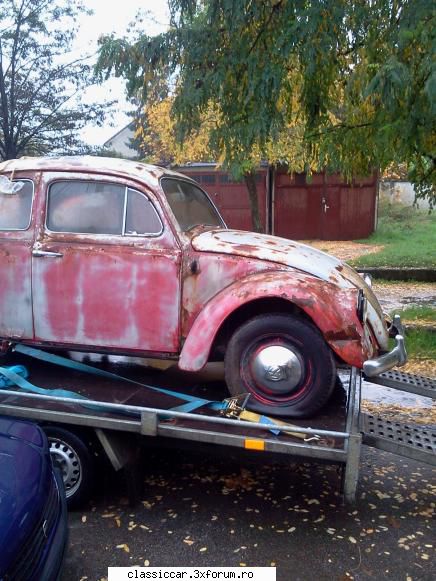 Clasice din Timisoara - Pe ploaia de saptamina trecuta a mai aparut o - Am vazut prin Romania