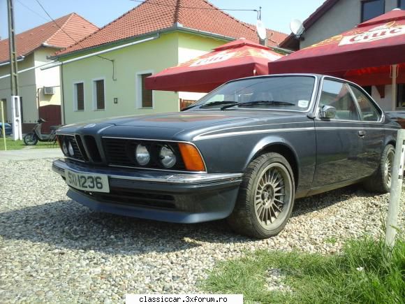 Clasice din Timisoara - un rechin mare in cenad - Am vazut prin Romania