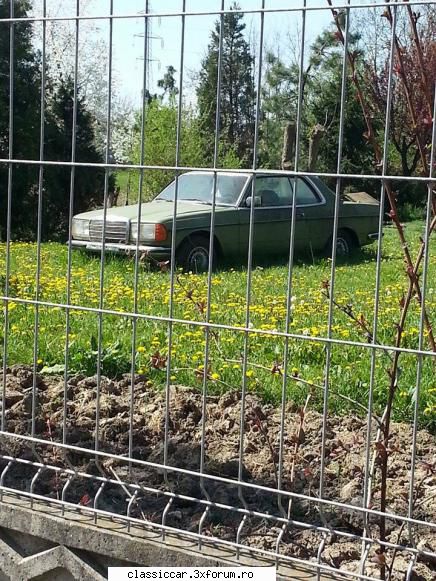 Clasice din Timisoara - w123 coupe in stare buna si originala - Am vazut prin Romania