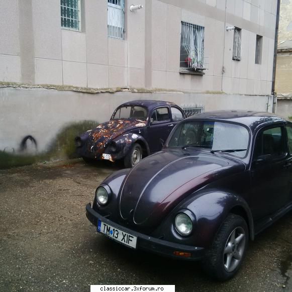 Clasice din Timisoara - Si doua broaste, una cunoscuta, si cu semafoare - Am vazut prin Romania