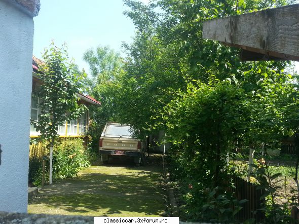 Clasice din Timisoara - ceva american te si minunezi ce are omul prin - Am vazut prin Romania