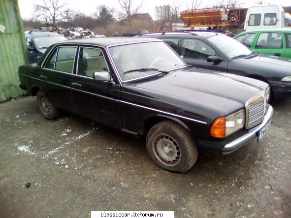 Clasice din Timisoara - in aceiasi curte - Am vazut prin Romania