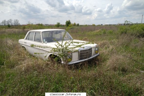 Clasice din Timisoara - Dacia neagra este la iesire din Mosnita Noua, mai - Am vazut prin Romania